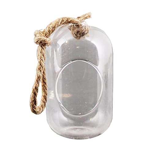 HomArt Sole Hanging Small Terrarium, 5-inch Height, Glass