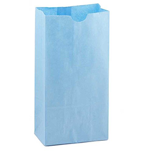 Hygloss Products Light Blue Paper Bags  For Party Favors, Arts, Crafts 4.5 x 8.5 x 2.5 Inch, 100 Pack