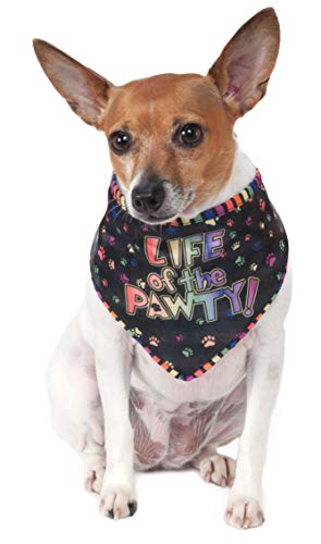 Rubie's Life of The Pawty Pet Bandana, Medium-Large