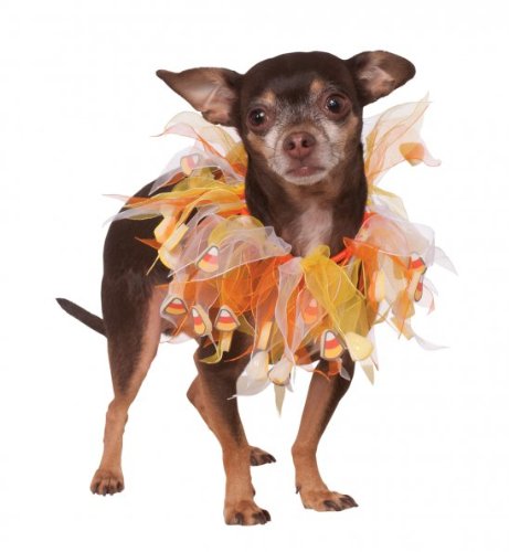 Rubie's Costume Co Fancy Candy Corn Pet Collar, Small/Medium