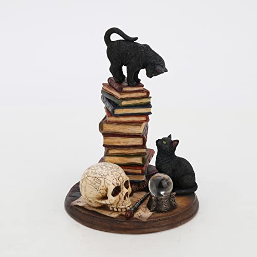 Unicorn Studio Veronese Design 7 1/4 Inch The Moral High Ground Resin Cat Figurine Hand Painted Finish