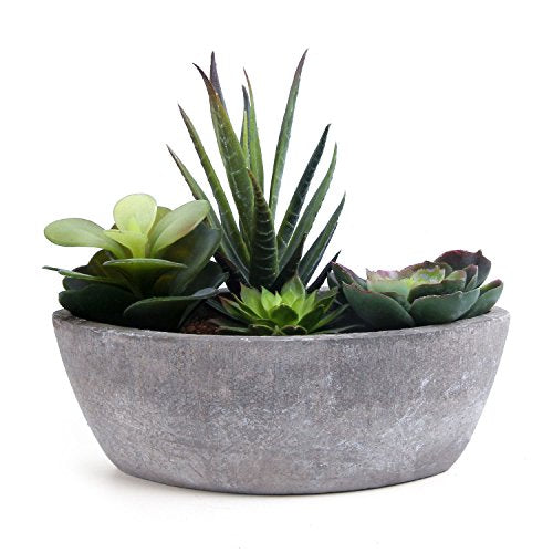 Artificial Succulent Plants Series Plastic Decorative Grass Shape 5 of T4U, Pack of 1