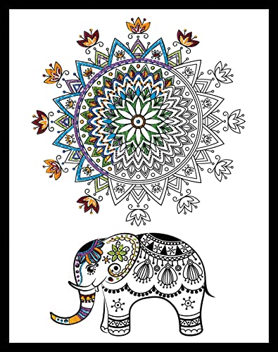 Design Works Crafts/Zenbroidery Stamped Emboidery Kit 14"X18"-Elephant Mandalas