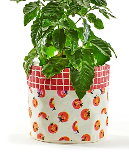 Giftcraft 716252 Store and More Storage or Planter, 8.7-inch Diameter, Tomato Design