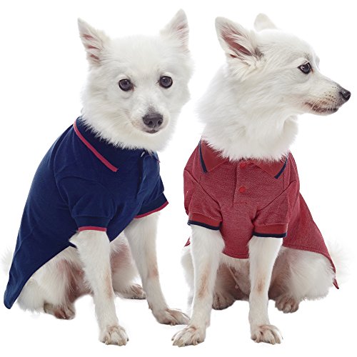 Blueberry Pet Pack of 2 Back to Basic Cotton Blend Dog Polo Shirts in Navy and Rusty Red, Back Length 10", Clothes for Dogs