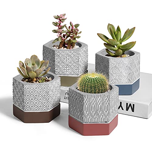 T4U Cement Succulent Pot Carved Hexagon Collection Set of 4, Small Planter Concrete Geometric Cactus Container, Modern Colorful Flower Succulent Holder with Drainage Hole for Home and Office Decor