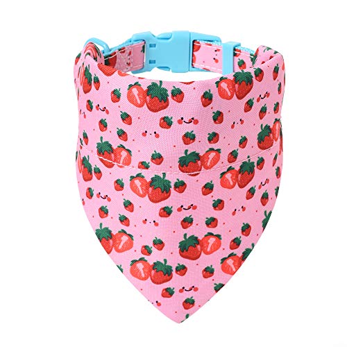 Mile High Life | Tropical Fruit Summer Collection | Soft Poly Cotton Fabric | Girl Dog Collars | Bandana Collar (Strawberry, Bandana w/Collar -S )