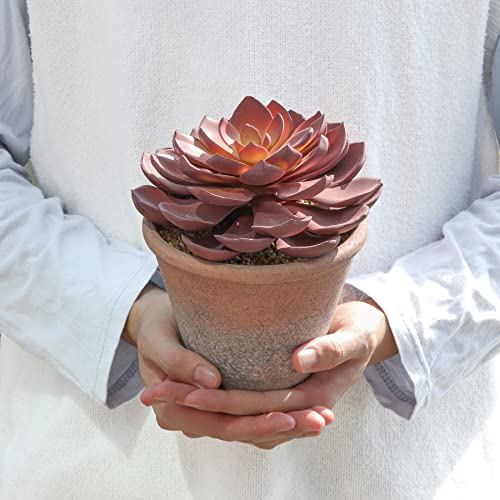T4U Succulents Plants Artificial  5.9" x 7.5", Big Fake Succulents Plant Potted for Home Office Decoration, Indoor Fake Faux Plants in Pot Décor for House, Classroom, Window and Table Desk