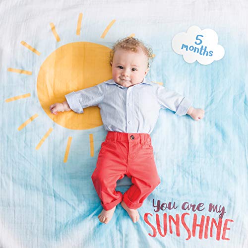 Mary Meyer lulujo Babys First Year Milestone Blanket and Card Set | 40in x 40in| Baby Shower Gift| You Are My Sunshine