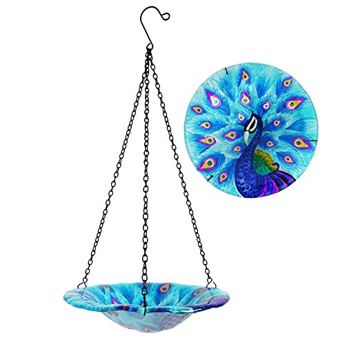 Comfy Hour Peacock Decor Collection 8" Glass Tray Metal Art Peacock Plate Hanging Bowl Bird Feeder Birdbath, Total Height 17" Including Chain