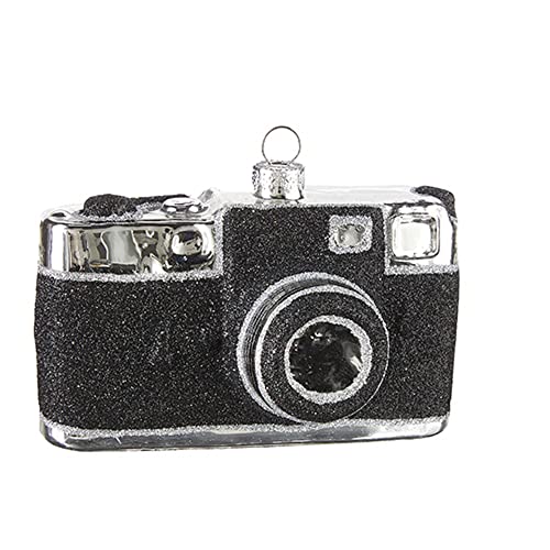 RAZ Imports 4219143 Camera Decorative Ornament, 4.25-inch Height, Glass