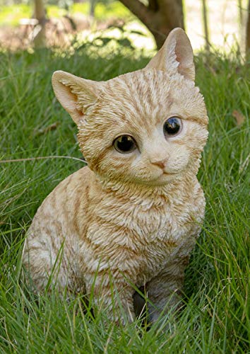 Hi Line Gift Head-Tilting Orange Tabby Kitten Sitting