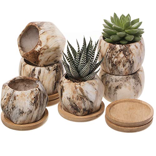 T4U 2.5 Inch Succulent Garden Pot with Bamboo Tray, Small Ceramic Marble Windowsill Plant Pot Cactus Herb Planter for Home and Office Decoration Birthday Wedding Pack of 6