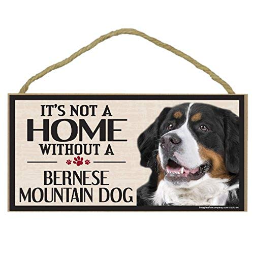 Imagine This Company Wood Sign for Bernese Mountain Dog Breeds