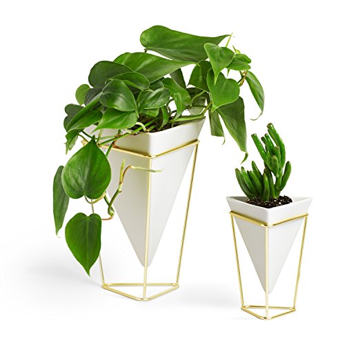 Umbra Trigg Desktop Planter Vase & Geometric Container - Great For Succulent Plants, Air Plant, Mini Cactus, Faux Plants and More, White Ceramic/Brass (Set of 2)