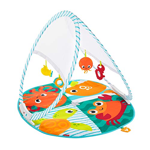 Fisher-Price Fold & Go Portable Gym