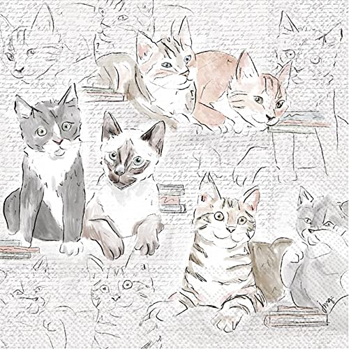 Boston International IHR Fall Everyday Pets 3-Ply Paper Napkins, 20-Count Cocktail Size, Library Cats
