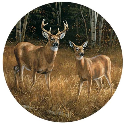 Wild Wings(WI) Whitetail Deer Coasters by Rosemary Millette
