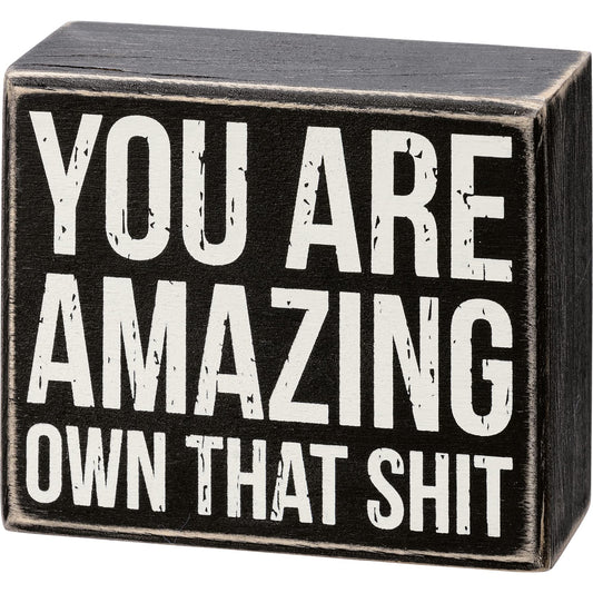 Primitives by Kathy 112115 You Are Amazing Own That Box Sign, Wood
