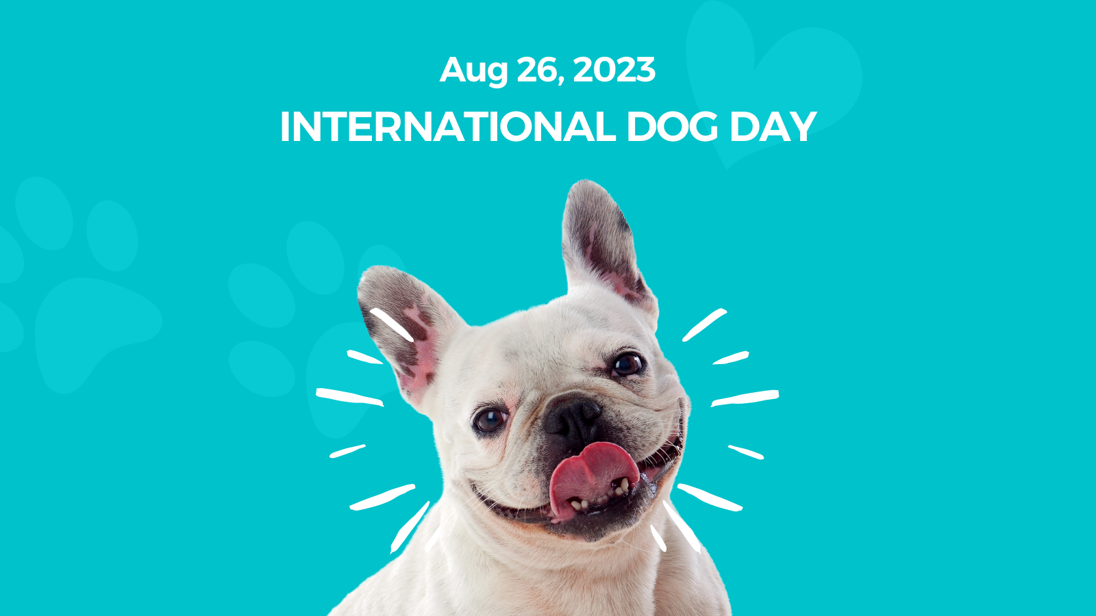 Celebrating International Dog Day: Honoring Our Four-Legged Friends ...