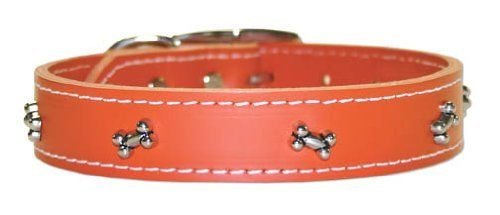 OmniPet Signature Leather Dog Collar with Bone Ornaments, Orange, 10"