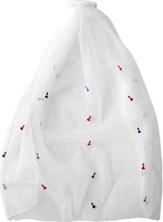 Kheper Games Naughty Novelty Bride Veil - Fun Bachelorette Party & Hen Night Accessory
