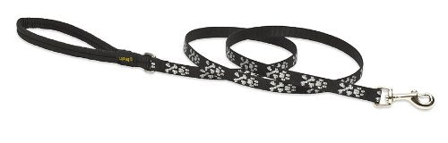 Lupine Pet Originals 1/2" Bling Bonz 6-foot Padded Handle Leash for Small Pets