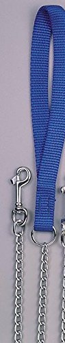 OmniPet Lead Medium Duty Chain with Nylon Handle, Blue, 4&