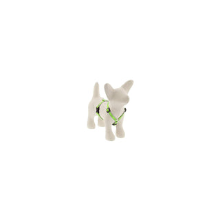LupinePet Animal Harness, 1/2"w; 9-14" girth, Green