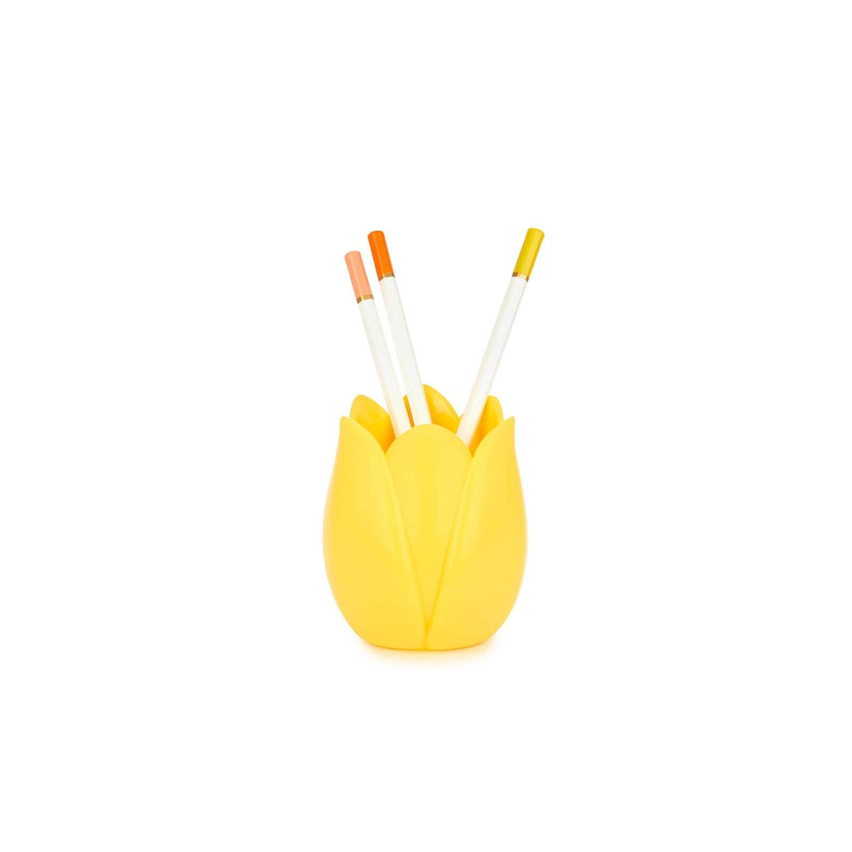 Balvi Item Container