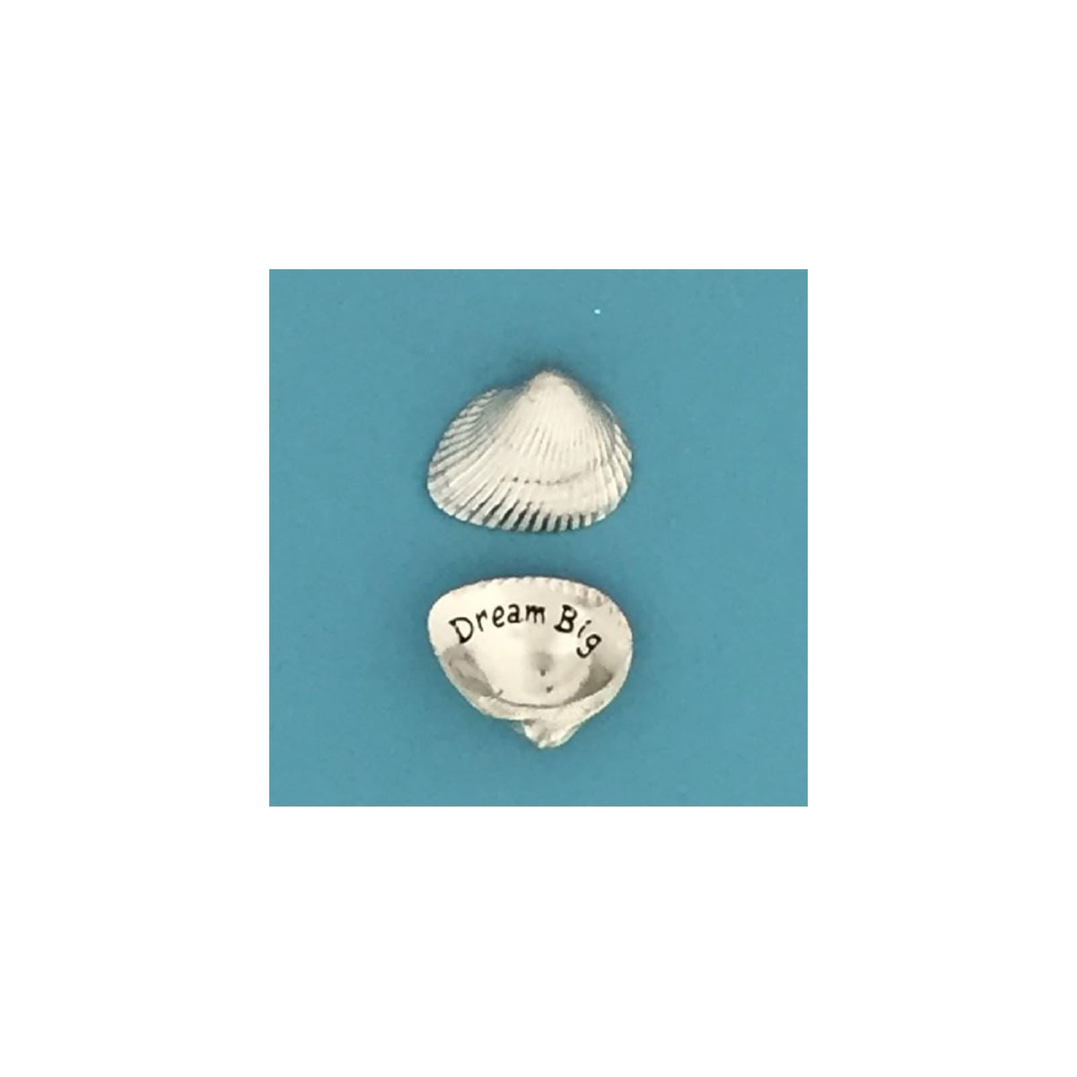 Basic Spirit Collectible Coins