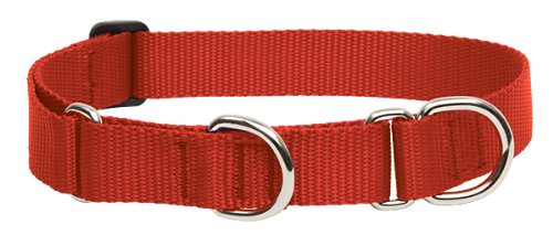 LupinePet Basics 1" Red 19-27" Martingale Collar for Large Dogs