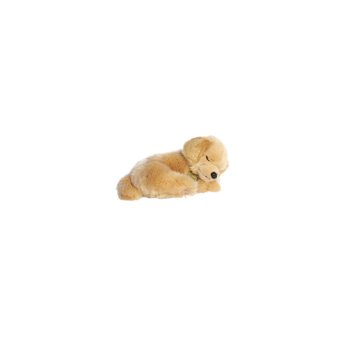 Aurora Toys And Games