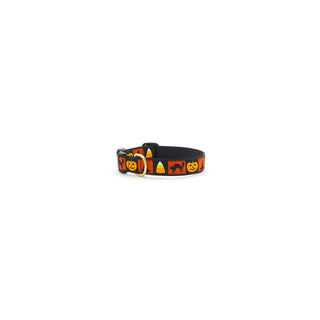 Up Country Animal Collar