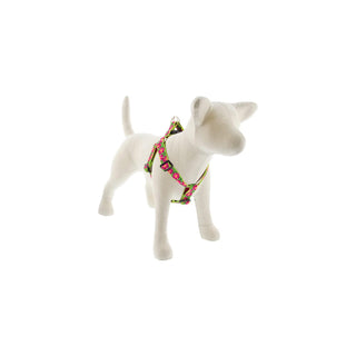 LupinePet Animal Harness