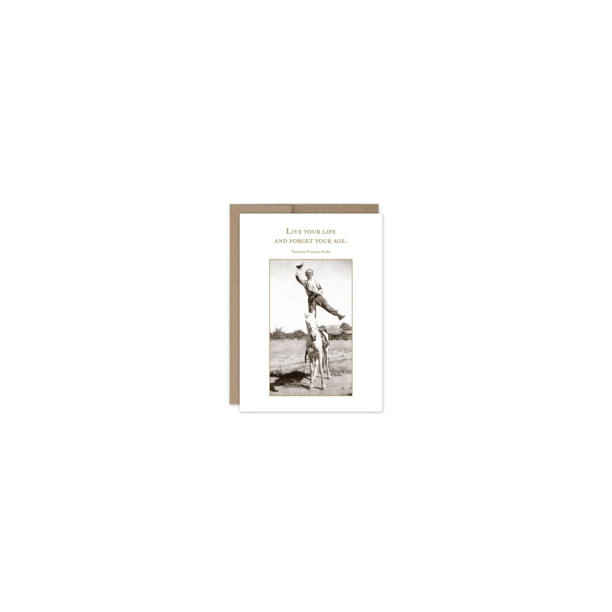 Shannon Martin Design Greeting Card, 4.5 x 6.25 inches, Rich Copper and Sepia To