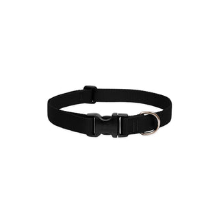 LupinePet Animal Collar, 1"W; 16-28" Neck, Black