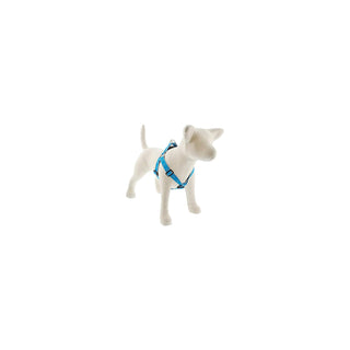LupinePet Animal Harness, 1"w; 24-38" girth, Blue