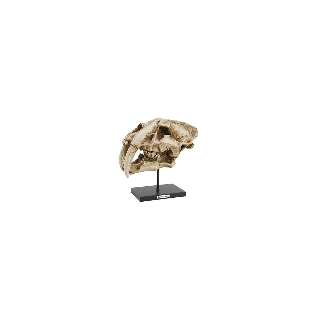 Pacific Giftware Sculpture