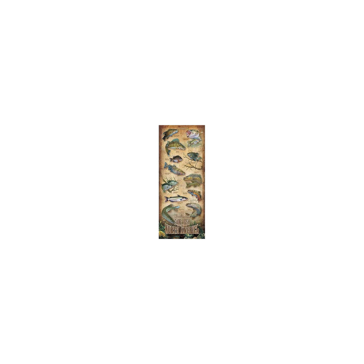 Wild Wings Wall Art, 30"L x 12"W, Multi