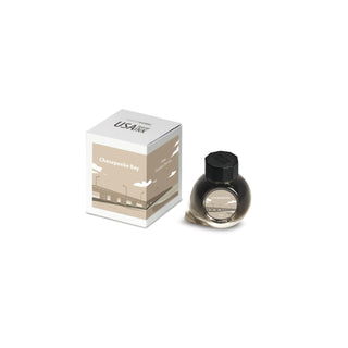 Colorverse Liquid Ink, 0.5 fl oz, Chesapeake Bay