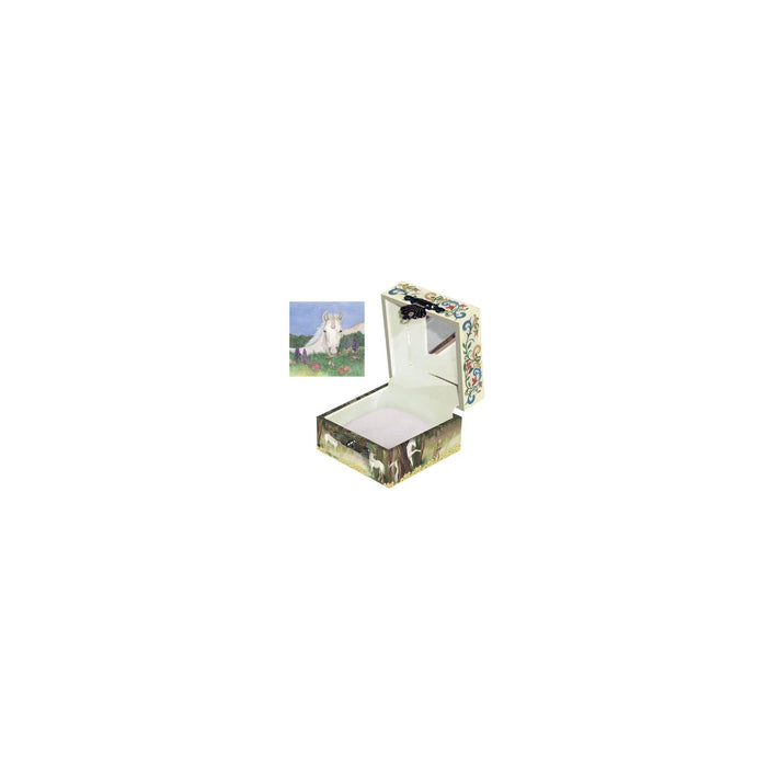 Enchantmints Storage Box