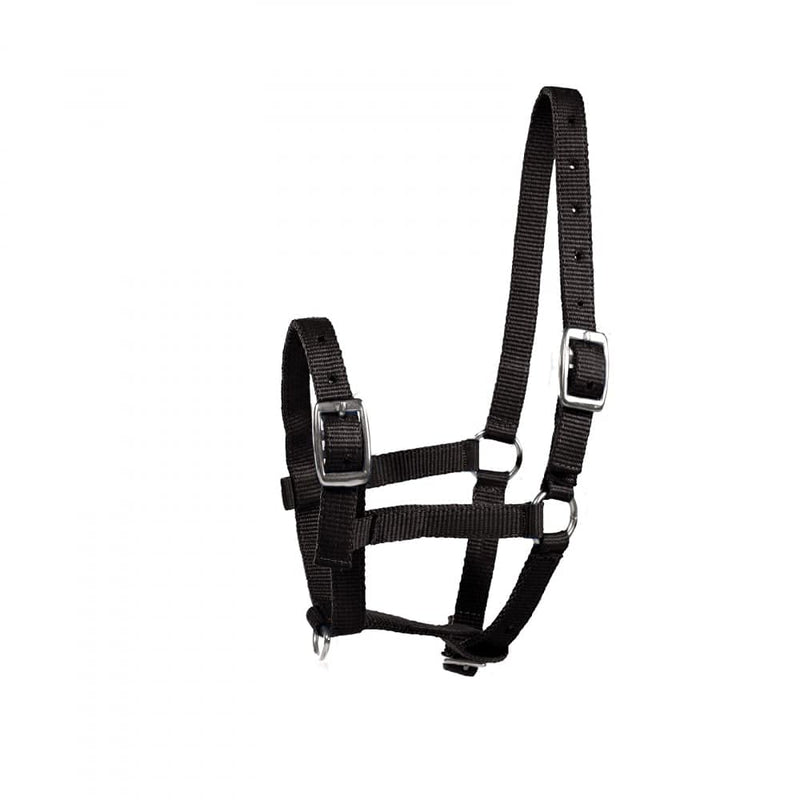 HORZE Foal Halter - Black - Foal