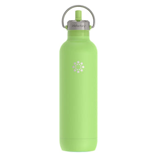 Lifefactory Thermos, 32 Ounces, Celery
