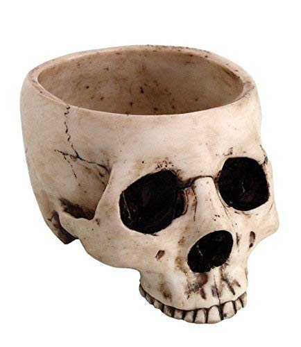 Pacific Trading PTC 6.75 Inch Ceramic Open Skeleton Skull Figurine Medium Bowl, Beige