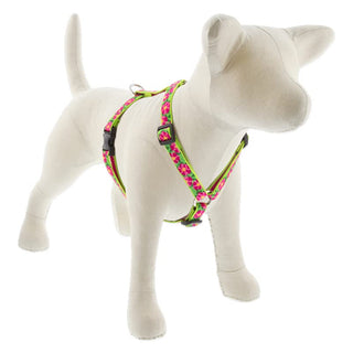 LupinePet Animal Harness, 3/4" wide; girth adjusts 14-24", Pink, Green