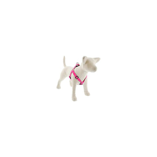 LupinePet Animal Harness