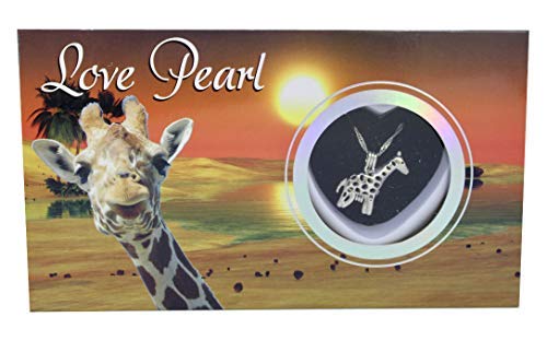Love Pearl Jewelry Set, 1.5 inches (3.81 cm) long x 1 inch (2.54 cm) wide, silve