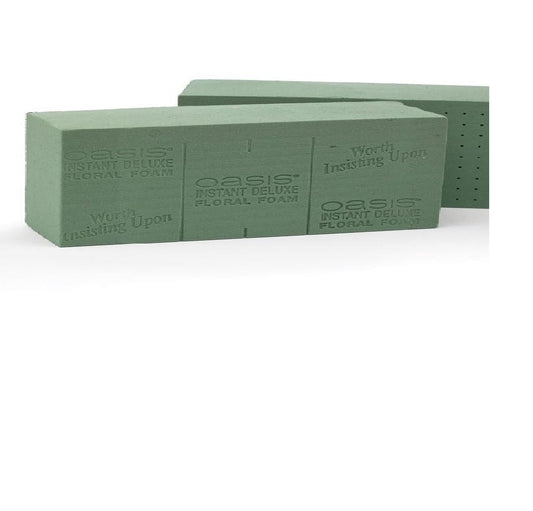 burton + BURTON Flower Bee Oasis Instant Deluxe Floral Foam Bricks Wet Floral Foam Bricks for Flower Arranging (Green) (Bricks (2))