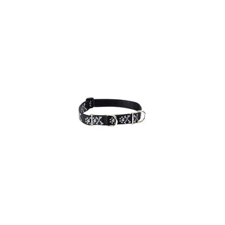 LupinePet Animal Collar, 1" by 15"-22" Combo Collar, Bling Bonz
